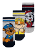 Paw Patrol 3er Pack Paw Patrol Socken Chase, Rubble und Marshall Söckchen in grau