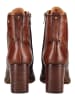 Pikolinos Stiefelette PALENCIA W9U in Braun