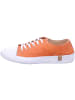 Andrea Conti Damen- Schnürschuhe  in Braun