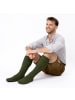 Occulto 1er Pack Lange Trachtensocken Silberdistel in Grün