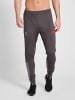 Hummel Hummel Hose Hmlpro Multisport Herren Atmungsaktiv Schnelltrocknend in FORGED IRON/QUIET SHADE