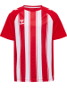 Hummel T-Shirt Raglanärmel Hmlmatch Kinder in TRUE RED/WHITE