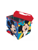 Disney Mickey Spielspeicher 30×30×30 cm
