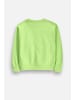 Coccodrillo Sweatshirt ohne kapuze in grün