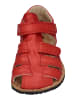 KOEL Sandalen ARIN NAPPA  in rot