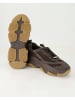 Steve Madden Sneaker low in Braun