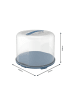 Rotho FRESH Kuchentransportbox XL in Transparent / Horizon blau