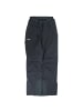 Jack Wolfskin Hose Snow Summit Pants Felix Neureuther in Grau