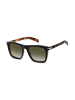 David Beckham Herren Sonnenbrillen Quadrat Schwarz