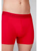 Muchachomalo 3er-Set: Boxershort in Mehrfarbig - für Herren
