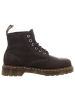 Dr. Martens Stiefelette in braun