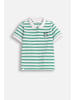 Coccodrillo T-Shirt mit kurzem Ärmel in grün