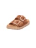 Gabor Pantolette in braun