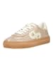 Pavement Sneaker KOHIA CROCO in Beige