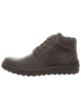Josef Seibel Stiefelette in braun