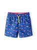 Minoti Badeshorts 23swim43 in royalblau