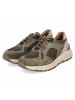 Josef Seibel Low Sneaker DAVIE 03 in grün