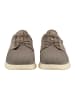 Geox Sneaker in Taupe