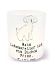 Mr. & Mrs. Panda Teelichthalter Bichon Frisé Lebensretter mit Sp... in Transparent