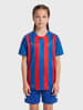 Hummel T-Shirt Hmlcore Kinder in TRUE BLUE/TRUE RED