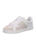 Guess Sneaker Low in Beige