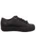 Paul Green Sneaker Low in schwarz