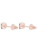 Steel_Art Ohrstecker Damen Flavus rose goldfarben in rosegoldfarben
