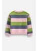 Coccodrillo Strickpullover in bunt