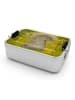 Mr. & Mrs. Panda Bento Box Elefant Biene Design ohne Spruch in Weiß