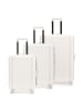 Epic Atlas 4 Rollen Kofferset 3-teilig in pure white