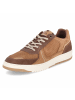 Bullboxer Low Sneaker in braun