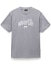 Napapijri T-Shirt "S-Funes Ss" in Grau