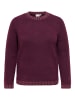 ONLY Carmakoma Strickpullover in Fig 1