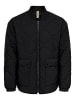 ONLY & SONS Steppjacke in Black
