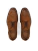 Kazar Schnürschuhe in Braun