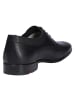 LLOYD SchnĆ¼rschuh MADISON in schwarz