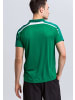 erima Liga 2.0 Poloshirt in smaragd/vergreen/weiss