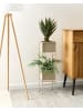 Beliani Indoor Blumentopf COTINUS in Beige - (W) 20 x (H) 75 x (L) 20 cm