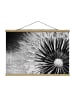 WALLART Stoffbild mit Posterleisten - Pusteblume Schwarz & Weiß in Schwarz-Weiß
