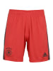 adidas Performance Torwarthose DFB Home EM 2021 in rot / schwarz