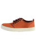 natural world Sneaker „On Napa“ Braun