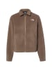 The North Face Fleecejacke Collared in taupe