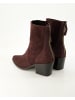 Paul Green Klassische Stiefeletten in Bordeaux