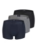 JOOP! Retro Short / Pant Everyday in Schwarz / dunkelblau / grau