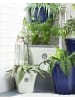 Beliani Outdoor Blumentopf ELATEIA in Weiß/Blau - (W) 32 x (H) 31 x (L) 32 cm