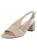 Högl Slingsandaletten in taupe