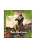 Freundebuch Tyrannosaurus 64 Seiten in Bunt