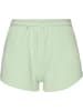 OBEY Sweat Shorts in cucumber