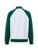 Adidas originals Sweatjacke in weiß tanne - 0001