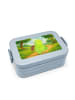 Mr. & Mrs. Panda MEPAL Bentobox Schildkröte Pfeifen Design ohne ... in Blau Pastell